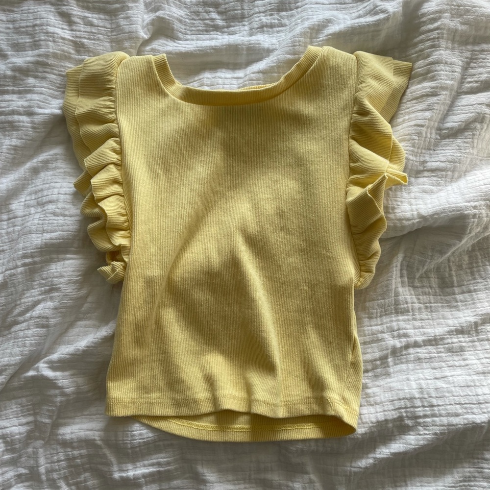 Zara Ruffle Sleeve Crop Top